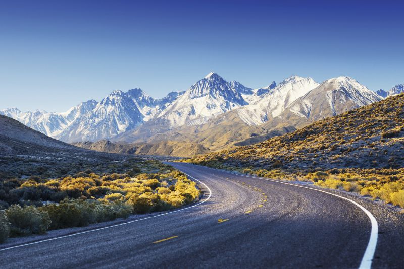 ATE: odpowiedzialność