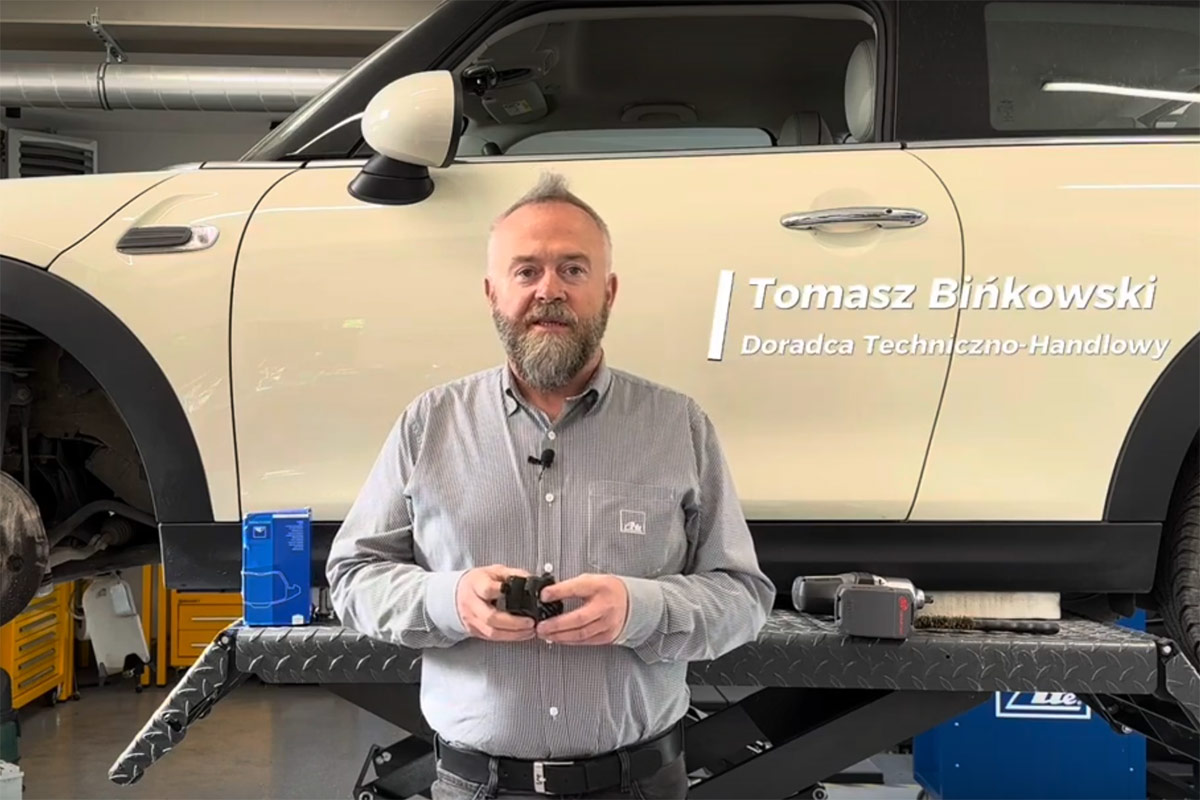 Montaż klocków hamulcowych z nitami BMW MINI